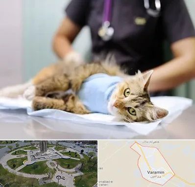 عقیم سازی گربه در ورامین