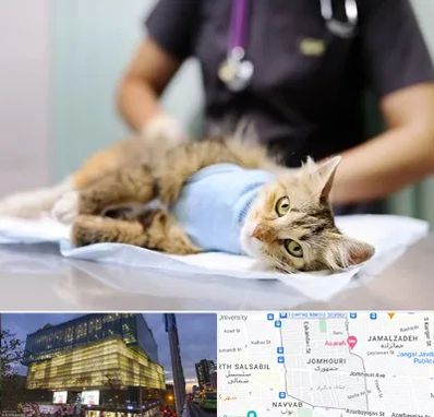 عقیم سازی گربه در جمهوری 