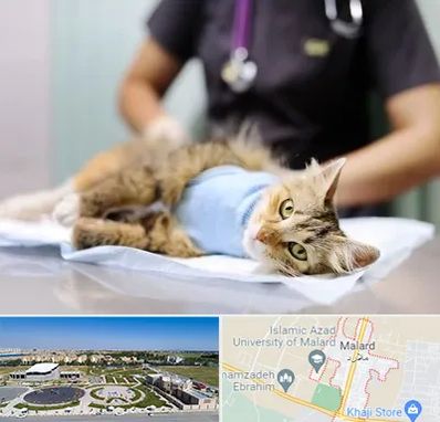 عقیم سازی گربه در ملارد