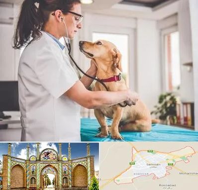 عقیم سازی سگ در سمنان