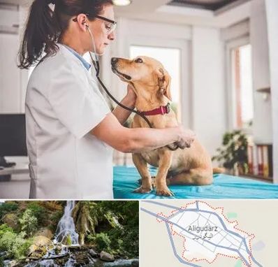 عقیم سازی سگ در الیگودرز