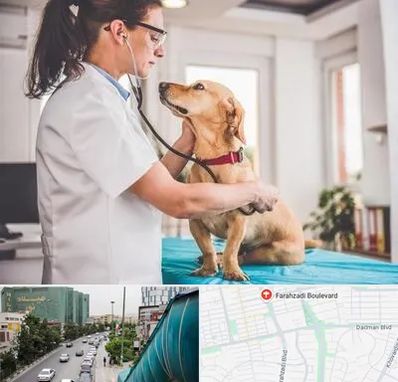 عقیم سازی سگ در بلوار فرحزادی