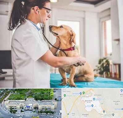 عقیم سازی سگ در نسیم شهر