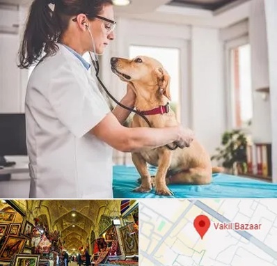 عقیم سازی سگ در بازار وکیل شیراز