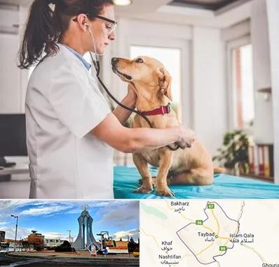 عقیم سازی سگ در تایباد