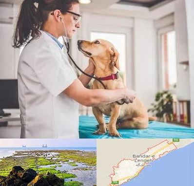 عقیم سازی سگ در بندرلنگه