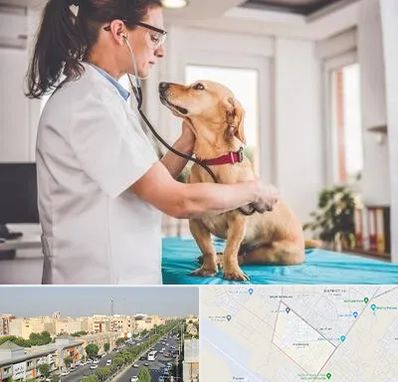 عقیم سازی سگ در کیانمهر کرج