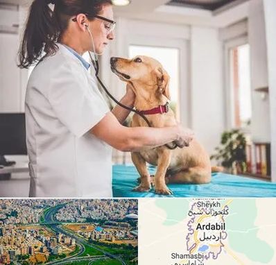 عقیم سازی سگ در اردبیل