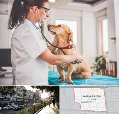 عقیم سازی سگ در خیابان جمالزاده