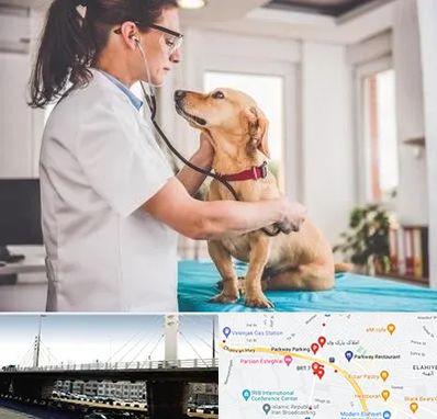 عقیم سازی سگ در پارک وی 