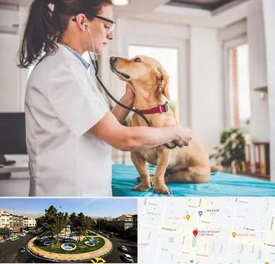 عقیم سازی سگ در هفت حوض