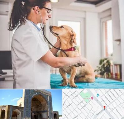 عقیم سازی سگ در مصلی مشهد