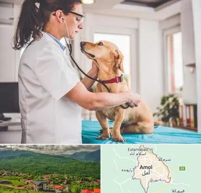 عقیم سازی سگ در آمل