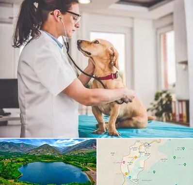 عقیم سازی سگ در رودبار