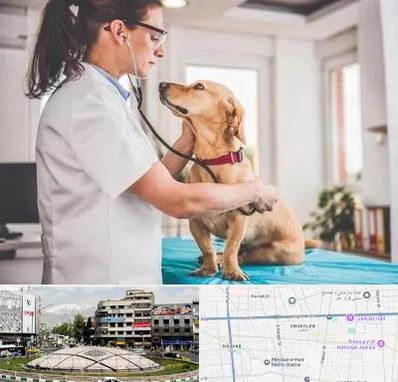 عقیم سازی سگ در مرکز تهران