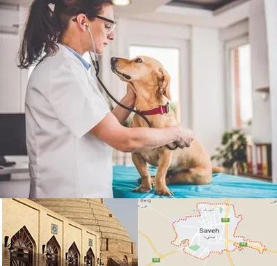 عقیم سازی سگ در ساوه