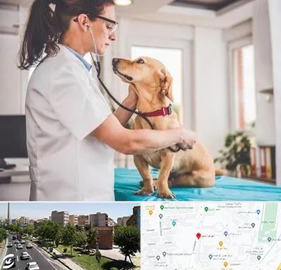 عقیم سازی سگ در شهرک آزمایش