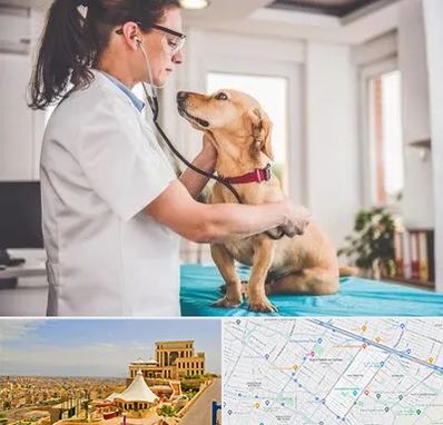 عقیم سازی سگ در هاشمیه مشهد