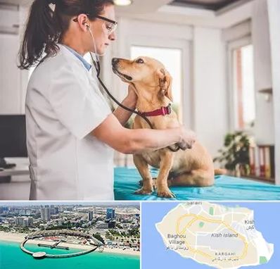 عقیم سازی سگ در کیش