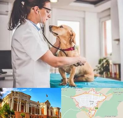 عقیم سازی سگ در خوی