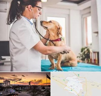 عقیم سازی سگ در قوچان