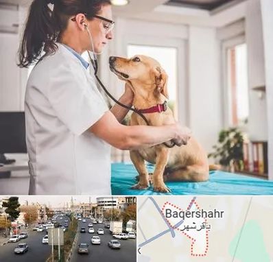 عقیم سازی سگ در باقرشهر