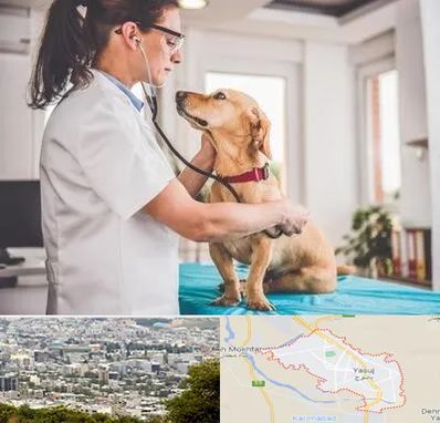 عقیم سازی سگ در یاسوج