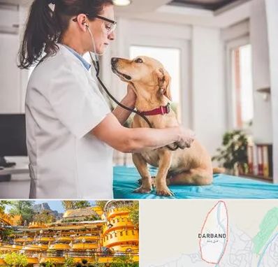 عقیم سازی سگ در دربند