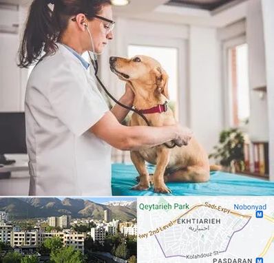 عقیم سازی سگ در اختیاریه 