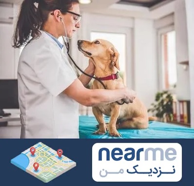 عقیم سازی سگ در نزدیک من