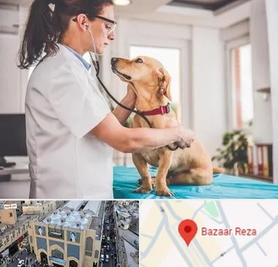 عقیم سازی سگ در بازار رضا مشهد