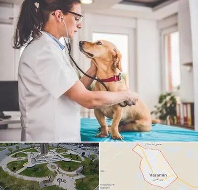 عقیم سازی سگ در ورامین