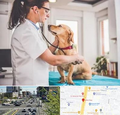 عقیم سازی سگ در ستاری