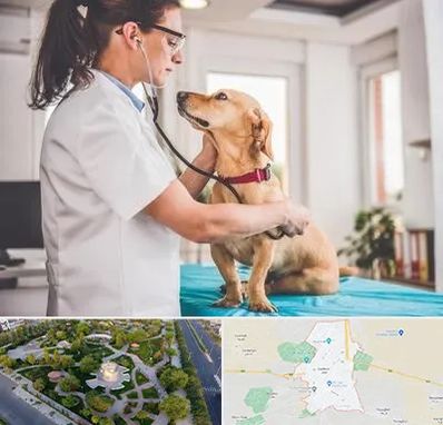 عقیم سازی سگ در کاشمر