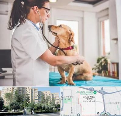 عقیم سازی سگ در آپادانا