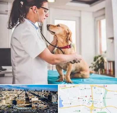 عقیم سازی سگ در شهرک راه آهن