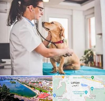 عقیم سازی سگ در لاهیجان