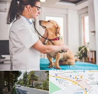 عقیم سازی سگ در مهرویلا کرج