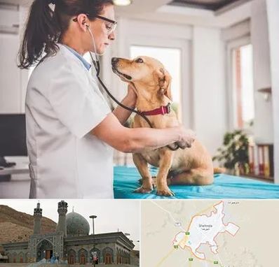 عقیم سازی سگ در شهرضا