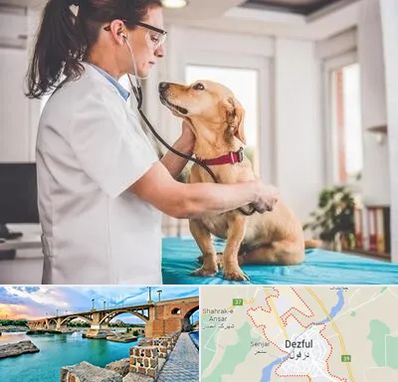 عقیم سازی سگ در دزفول