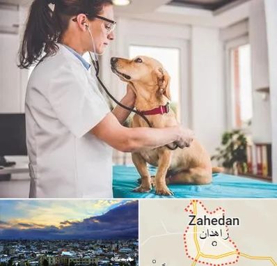 عقیم سازی سگ در زاهدان