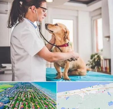 عقیم سازی سگ در فریدونکنار