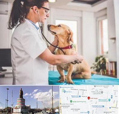 عقیم سازی سگ در کارگر جنوبی