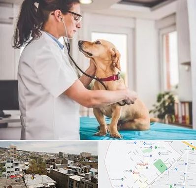 عقیم سازی سگ در شمیران نو