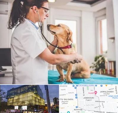 عقیم سازی سگ در جمهوری 