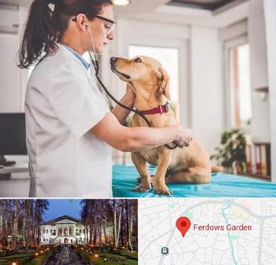 عقیم سازی سگ در باغ فردوس