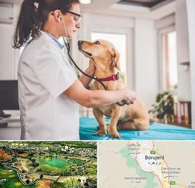 عقیم سازی سگ در بروجرد