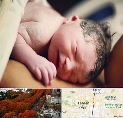 زایمان فیزیولوژیک در ولیعصر 