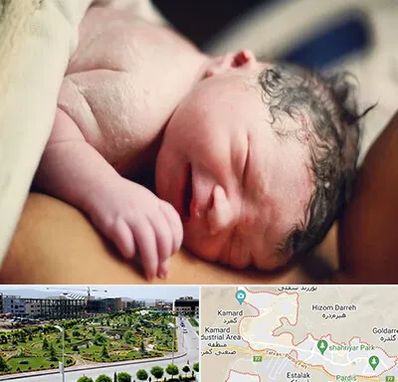 زایمان فیزیولوژیک در پردیس