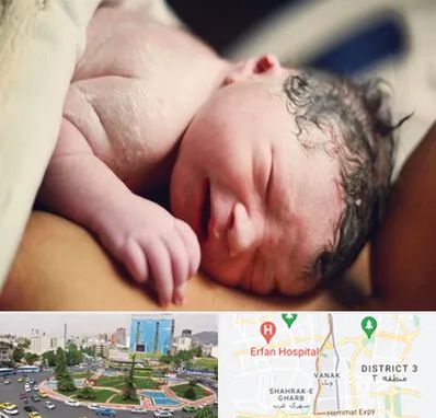 زایمان فیزیولوژیک در ونک 